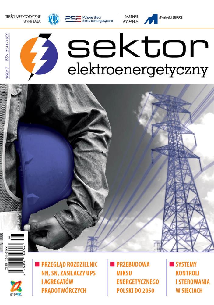 Sektor Elektroenergetyczny 2017