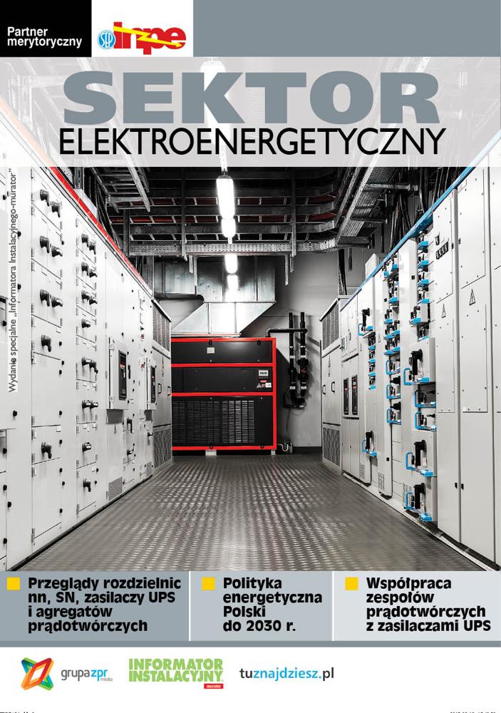 Sektor Elektroenergetyczny 2015