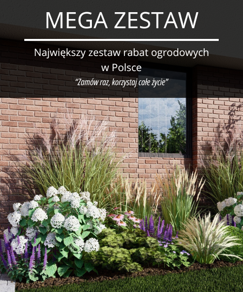 MEGA zestaw