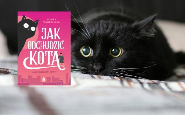 Zaręczony?! I co z tego! - „Jak odchudzić kota” Moniki Wawrzyńskiej