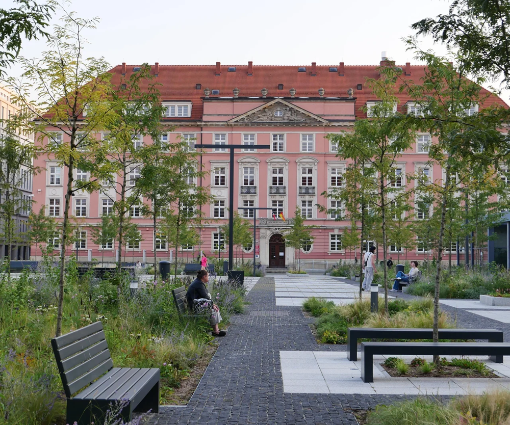 Zielenienie Placu Nowy Targ we Wrocławiu