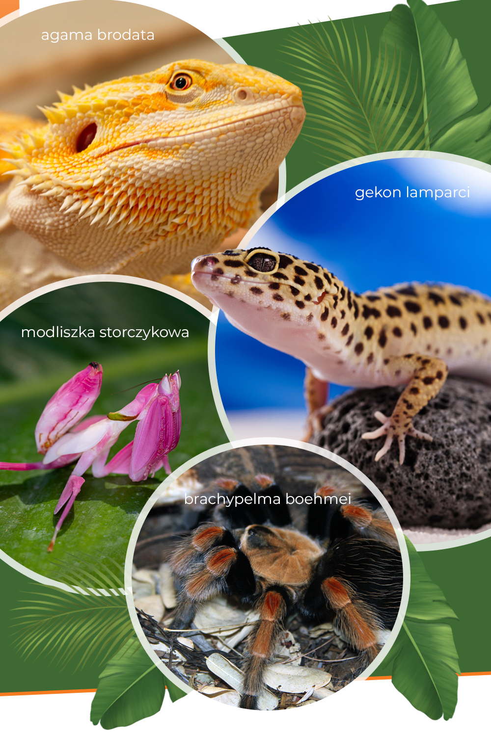 Zgarnij bilety na Exoticarium w Rzeszowie!