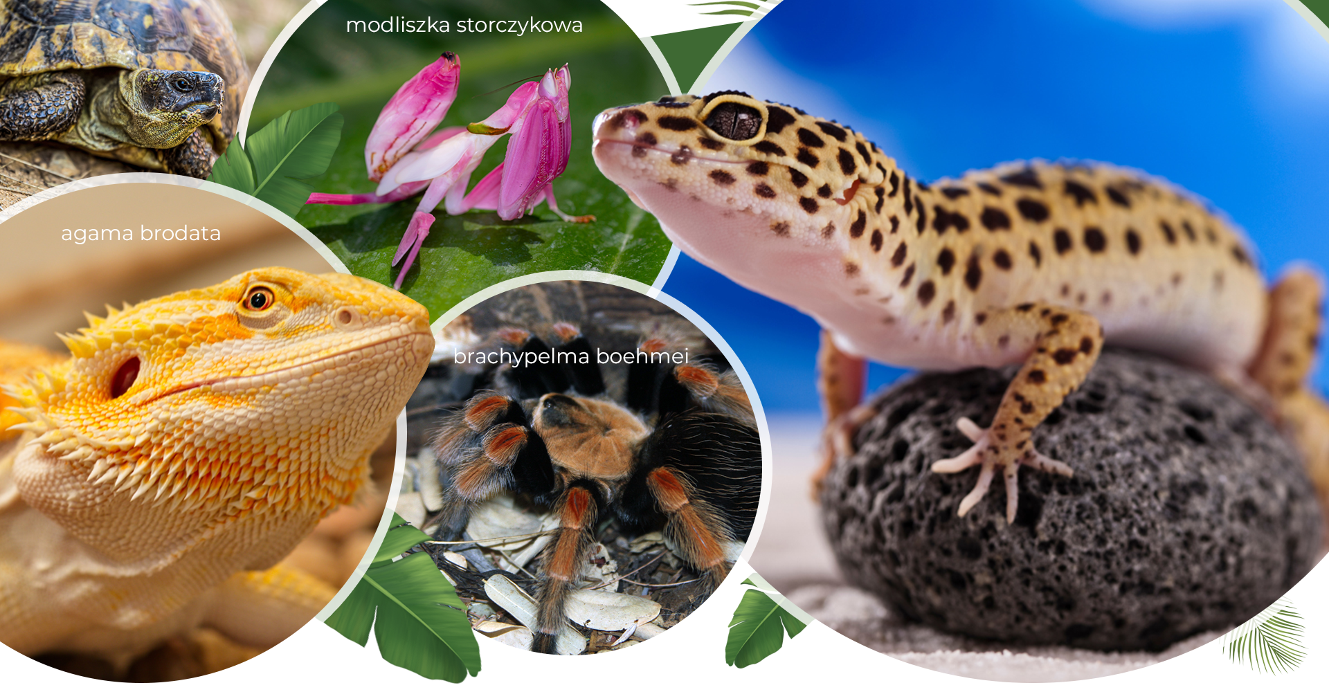 Zgarnij bilety na Exoticarium w Rzeszowie!