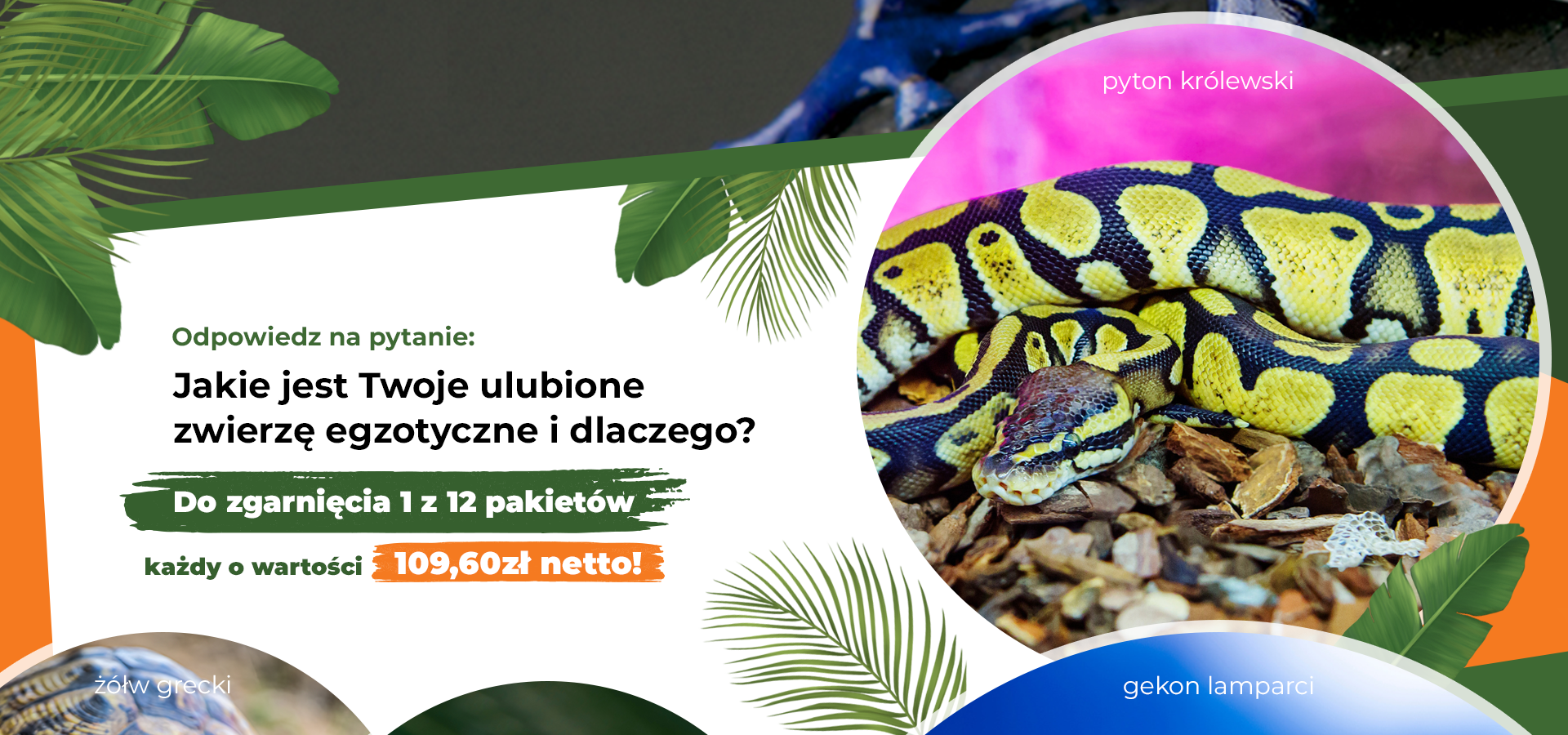 Zgarnij bilety na Exoticarium w Rzeszowie!